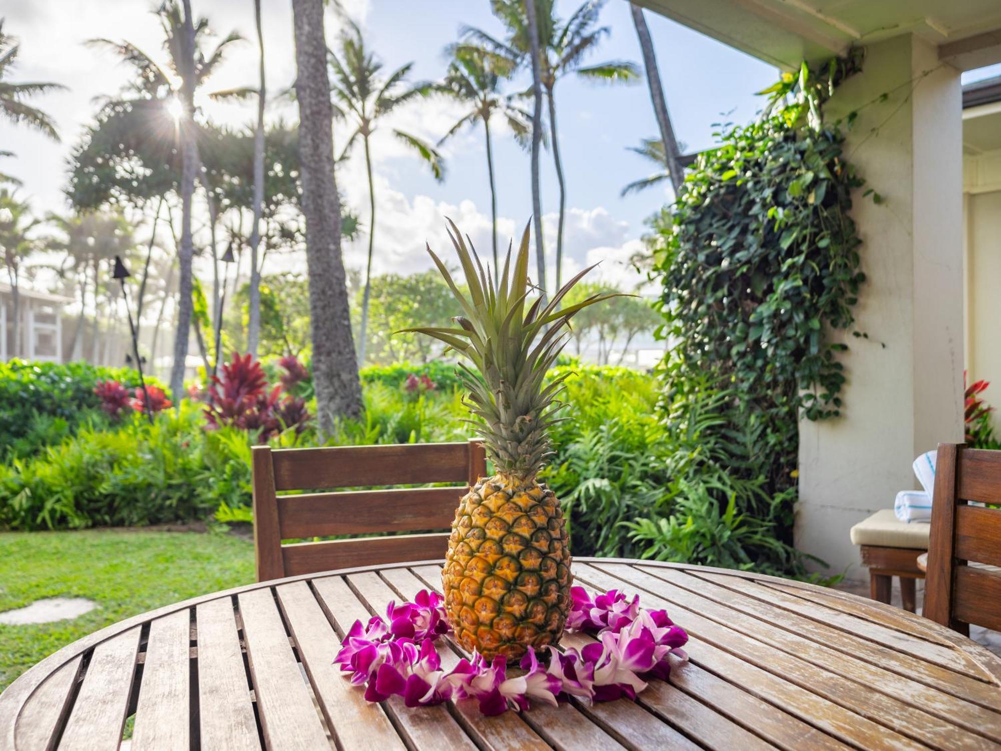 Ocean Villas At Turtle Bay Kahuku Bilik gambar